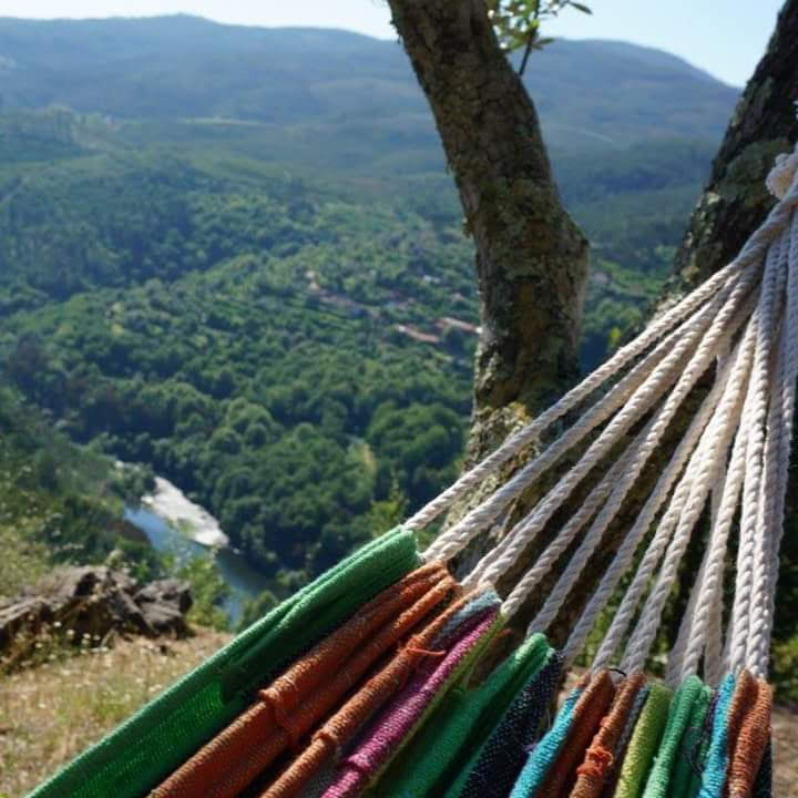 Rede junto à paisagem verde do vale